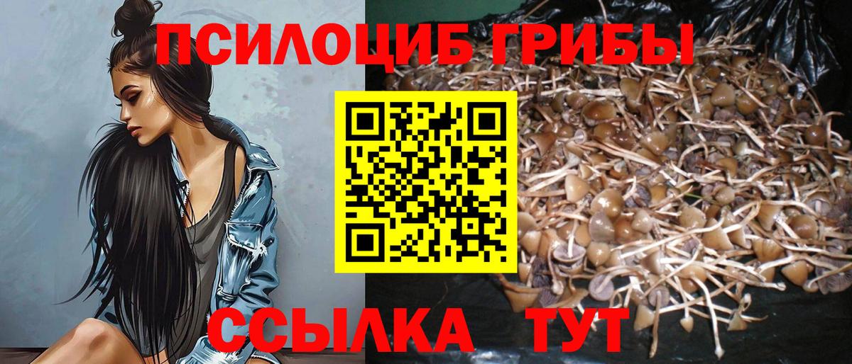 Псилоцибиновые грибы ЛСД Краснокаменск