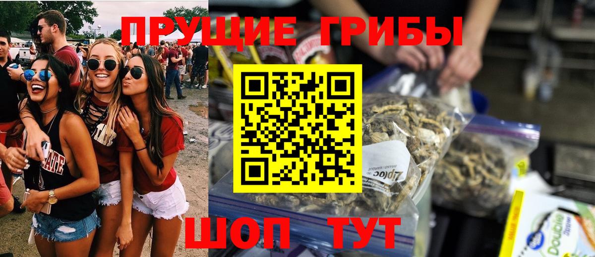 Краснокаменск  Псилоцибиновые грибы мицелий  Вход с VPN 